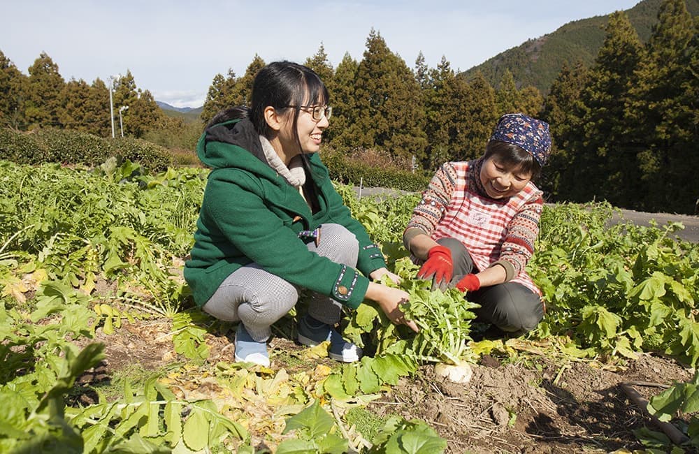 kata_han_2018_12_25_0137.jpg